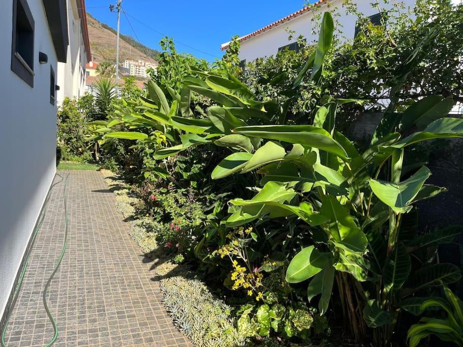 Moradia Com Piscina No Canico Екстер'єр фото